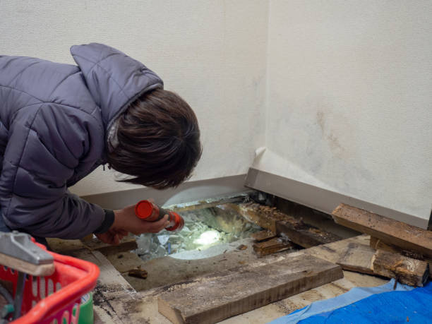 Best Mold Removal for HVAC Installations  in Mableton, GA