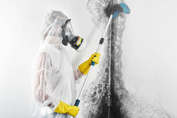 Best Indoor Air Quality Assessment  in Mableton, GA