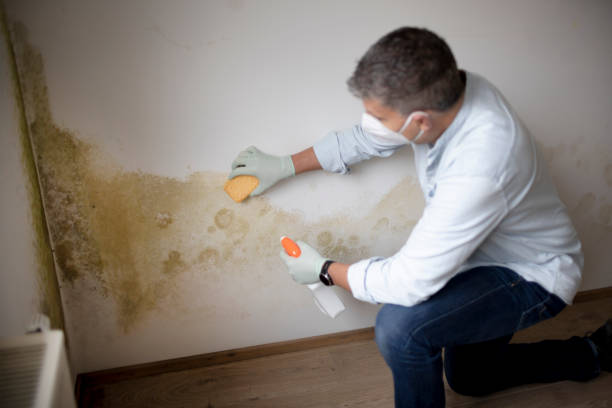 Best Mold Odor Removal Services  in Mableton, GA